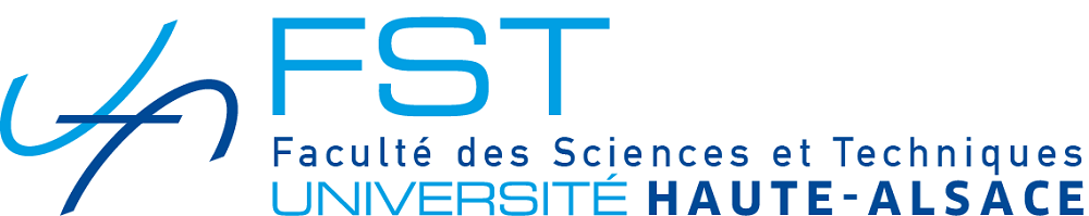 fst logo 2017