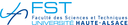 FST Logo 2017