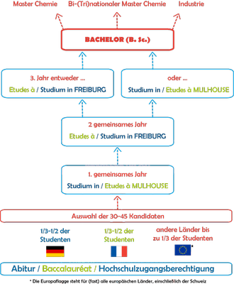 Schema-Studienablauf-Grob-Regiochimica.png