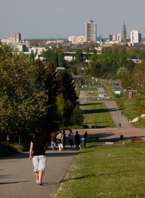 Bild Campus von unten 2