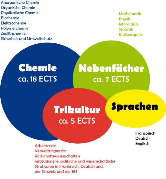 Schema-Studieninhalte-Grob-Blasen.png